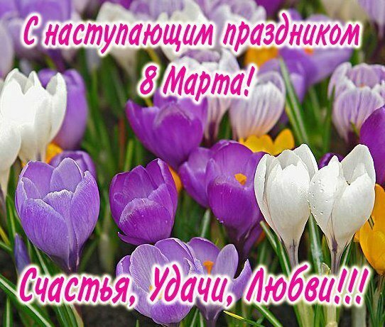 https://kartinki-s-dnem-rozhdeniya.ru/images/bolshie-prazdniki/kartinki-s-8-marta/s-nastupayushchim/kartinki-s-nastupayushim-8-marta-5.jpg